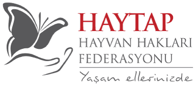 HAYTAP logo